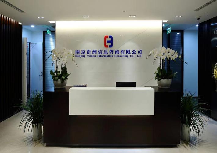 100萬元啟動資金，經營范圍聚焦網絡技術與信息技術咨詢 一家新公司的戰略定位與成長路徑